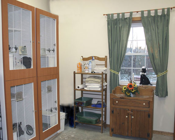 Cat boarding condos