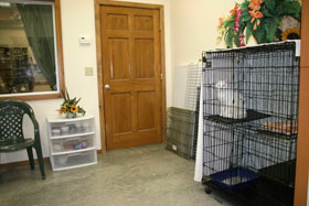 Cat boarding for pet comfort